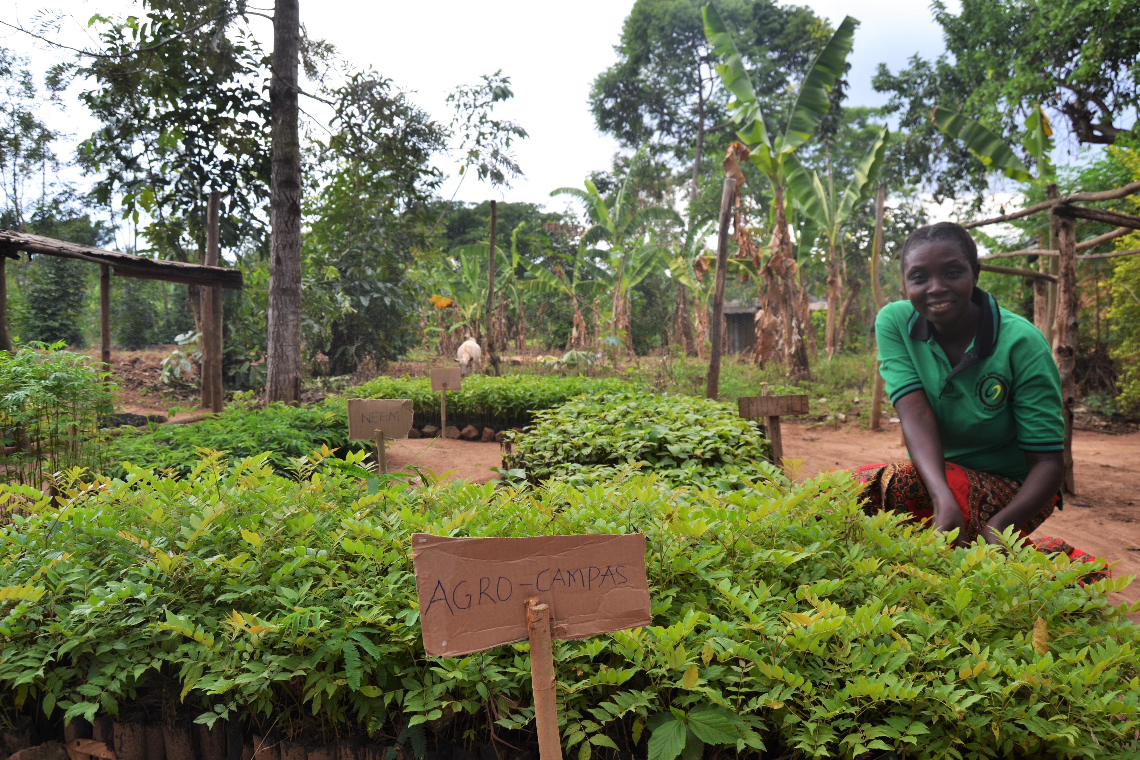 CGR LISTENERS ARGUED ON ENVIRONMENTAL CONSERVATION AND PRESERVING INDIGENOUS SEEDS