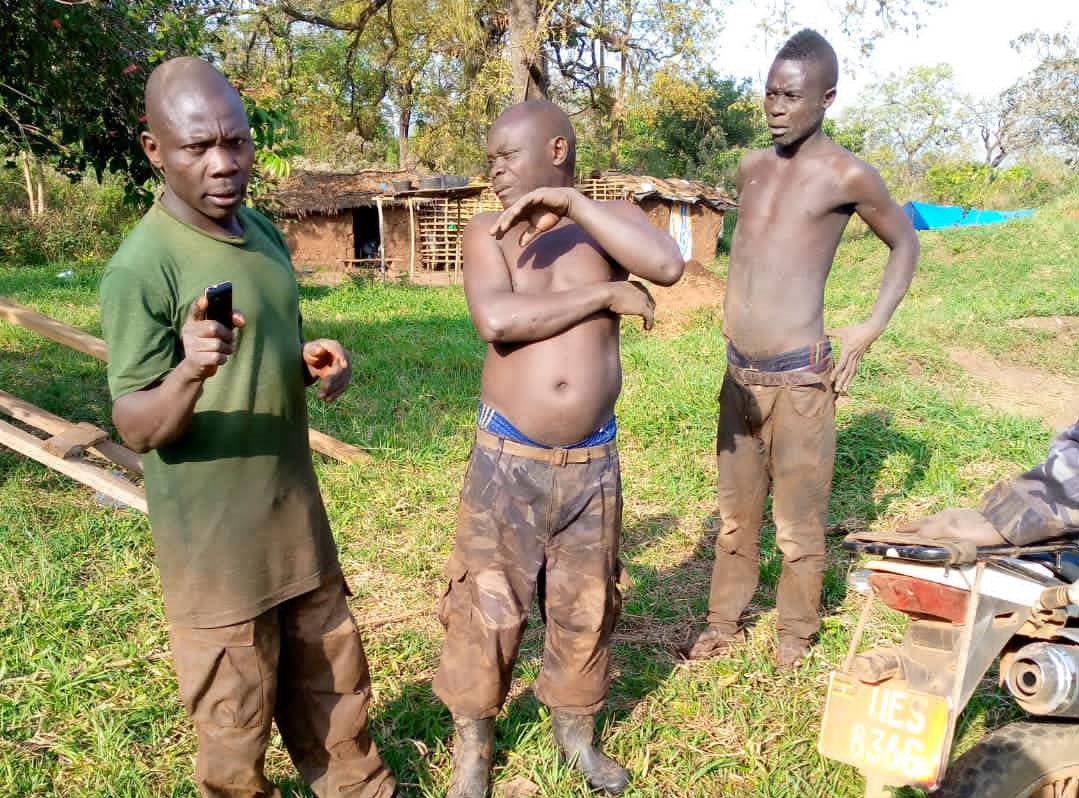 TENSIONS OVER BUGOMA FOREST DEPLETION INCREASE AS FORCES FROM HOIMA SUGAR FACTORY AND NFA FIGHT OVER ILLEGAL LOGGING