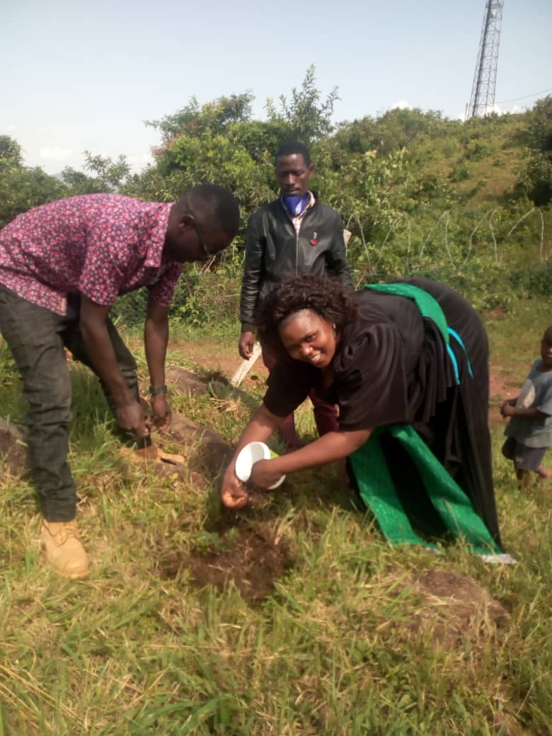 KIBOGA WOMAN MP GIVES TREE SEEDLINGS TO COMMUNITY GREEN RADIO AS THE WORLD MARKS WORLD ENVIRONMENT DAY