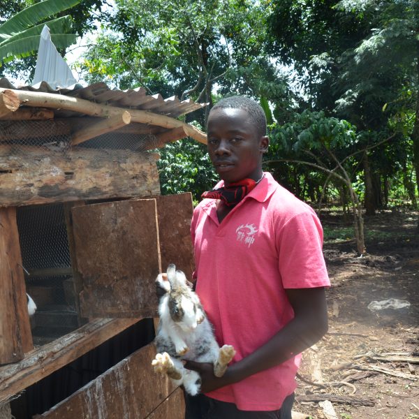 Community Green Radio motivated me to start rearing rabbits-Sserwada