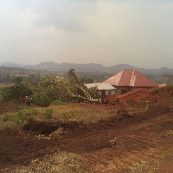 Destruction of property ongoing on the contested piece of land in Kyerere village Gayaza sub county Kyankwanzi district