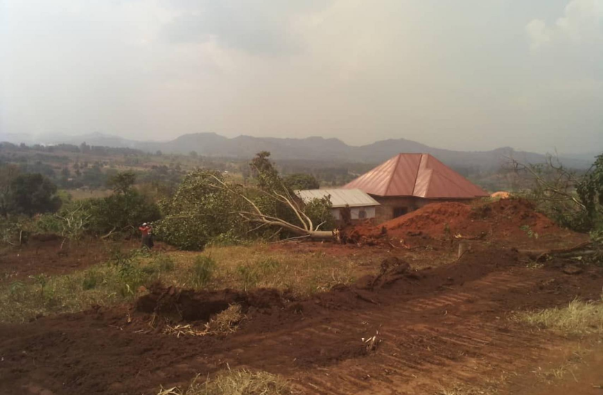 Destruction of property ongoing on the contested piece of land in Kyerere village Gayaza sub county Kyankwanzi district