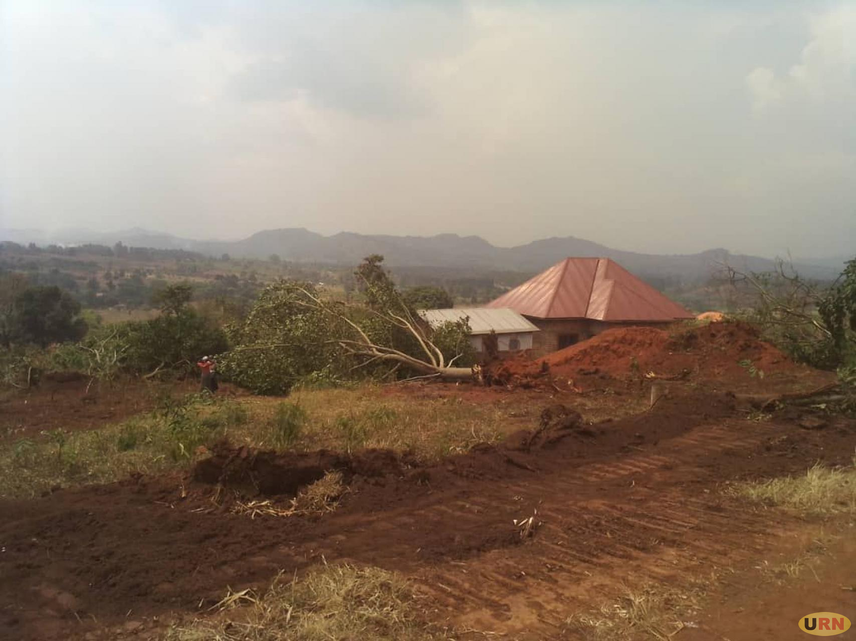 Destruction of property ongoing on the contested piece of land in Kyerere village Gayaza sub county Kyankwanzi district