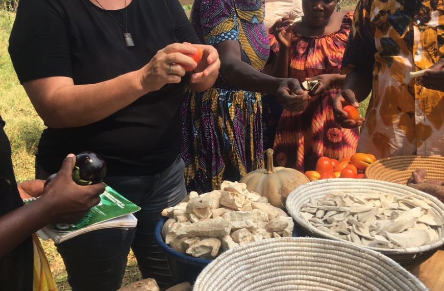 NEW DIRECTOR FOR ROSA LUXEMBURG FOUNDATION FOR EAST AFRICA TOURS NAPE SUPPORTED ACTIVITIES
