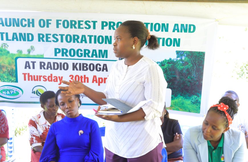 NAPE launches the Forest Restoration and Wetland Promotion Program with a call for more tree planting and wetland protection